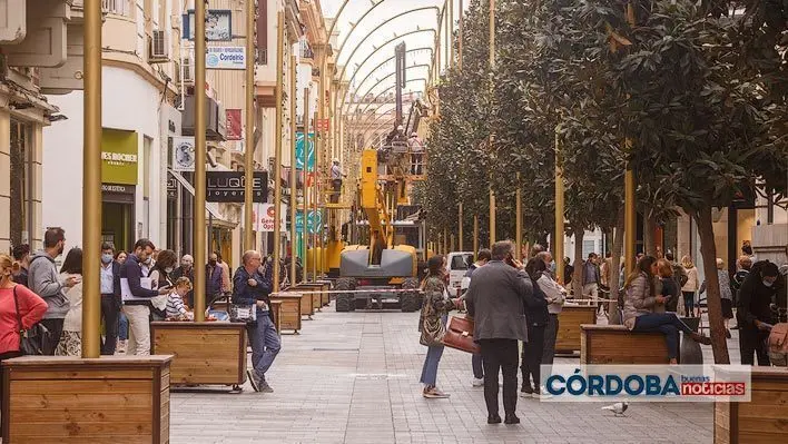 <p> Instalaci&oacute;n alumbrado navide&ntilde;o-por parte de Ximenez en Calle Cruz Conde | Jos&eacute; Le&oacute;n </p>