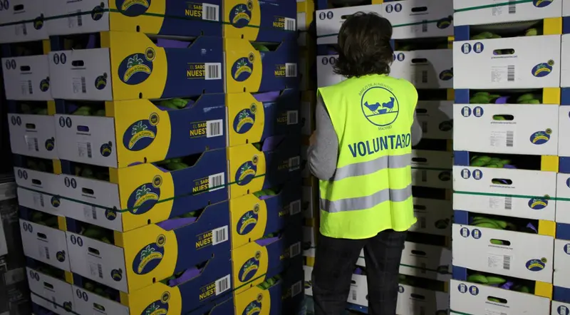 <p> Archivo - Una voluntaria de FESBAL junto a cajas de alimentos. - FESBAL - Archivo </p>