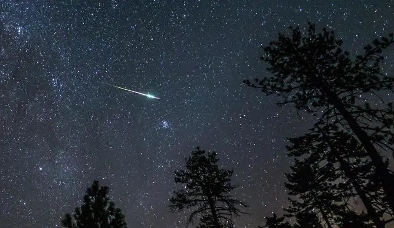 <p> 1609433426_134570_1609433968_noticia_normal </p>