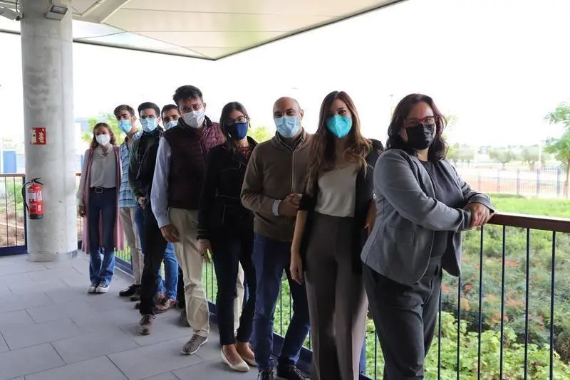 <p> Pablo Bra&ntilde;as Garza lidera el grupo interdisciplinar de investigadores apoyado por estudiantes de la Universidad Loyola </p>