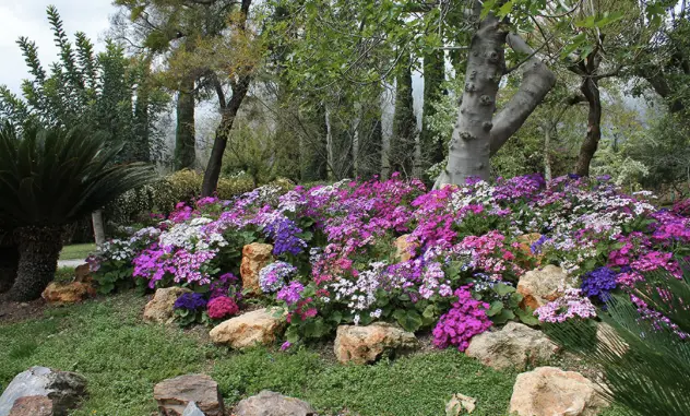 <p> Jard&iacute;n Bot&aacute;nico de C&oacute;rdoba </p>