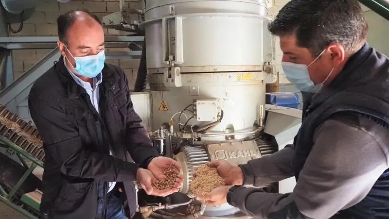 <p> El pelet clave en la Biomasa </p>