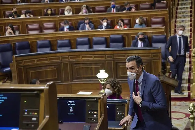<p> El presidente del Gobierno de Espa&ntilde;a y secretario general del PSOE, Pedro S&aacute;nchez </p>