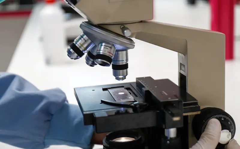 <p> Europa Press. </p>