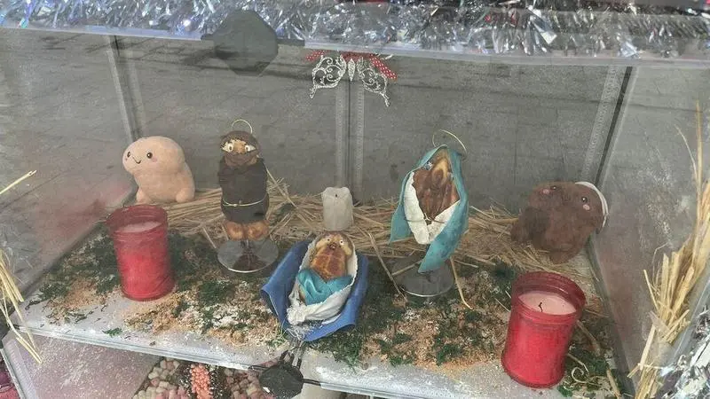 <p> clipping_BtsrHM_87da </p>