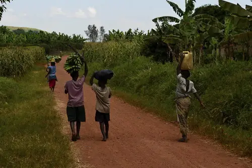 <p> Creative Commons </p>