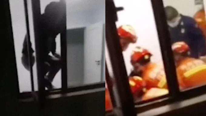 <p> imagen_2021-12-23_123809 </p>