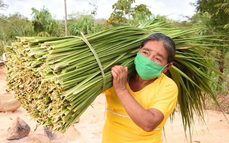 <p> Archivo - Fundaci&oacute;n Microfinanzas BBVA (FMBBVA) ayuda a cientos de miles de mujeres para que salgan adelante con peque&ntilde;os negocios en Am&eacute;rica Latina - FMBBVA - Archivo </p>
