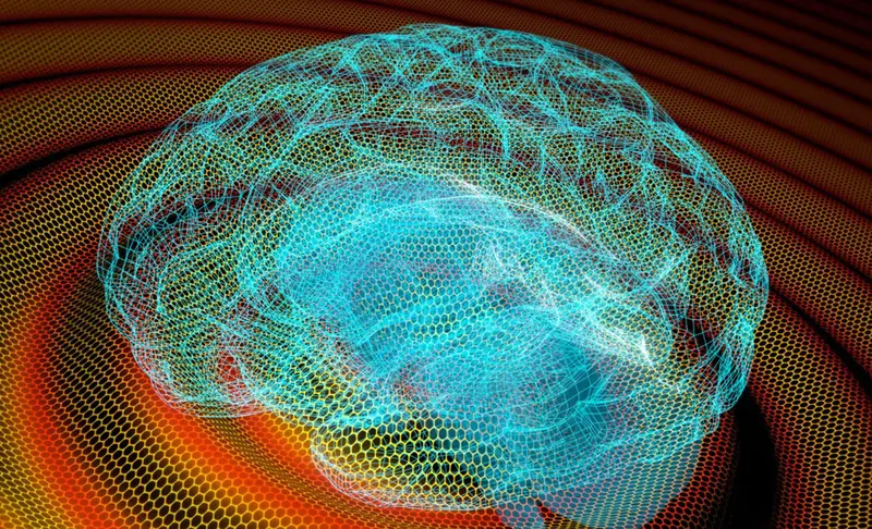 <p> Un equipo internacional de investigadores con participaci&oacute;n del CSIC ha presentado una sonda neuronal flexible fabricada con transistores de efecto de campo basados en grafeno (Field-Effect Transistor o FET, en ingl&eacute;s), capaz de grabar todo el espectro de se&ntilde;ales cerebrales, incluidos las de baja frecuencia. / ICN2 </p>