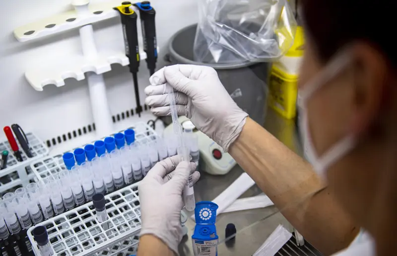 <p> 29 November 2021, Czech Republic, Trutnov: An employee of the microbiological laboratory of the Trutnov Hospital evaluates tests for COVID-19. The first case of the coronavirus variant Omicron in the Czech Republic has been confirmed after further laborat - Tane&egrave;ek David/CTK/dpa </p>