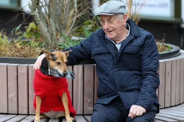 <p> Gracias a Millie, Alfie ha podido reunirse con sus hermanos. </p>