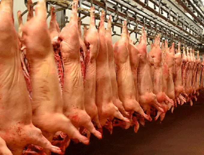 <p> Almacenamiento de carne porcina. / Foto: blog.argapor.com </p>