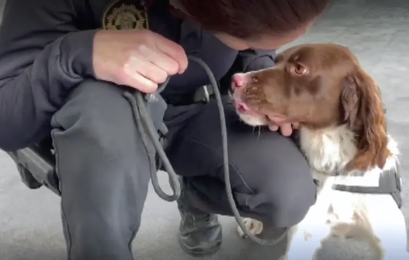 <p> Unidad Canina Polic&iacute;a Nacional </p>