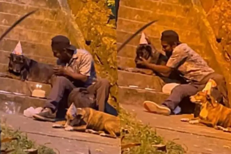 <p> Hombre sin hogar celebra el cumplea&ntilde;os de sus perros </p>