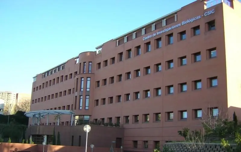 <p> El CSIC sigue avanzando en su investigaci&oacute;n contra la leucemia. </p>