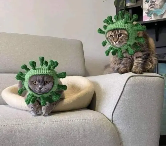 <p> &iquest;Podemos contagiarnos por segunda vez de la misma variante covid?. Fuente: Twitter @mikrmen1 </p>