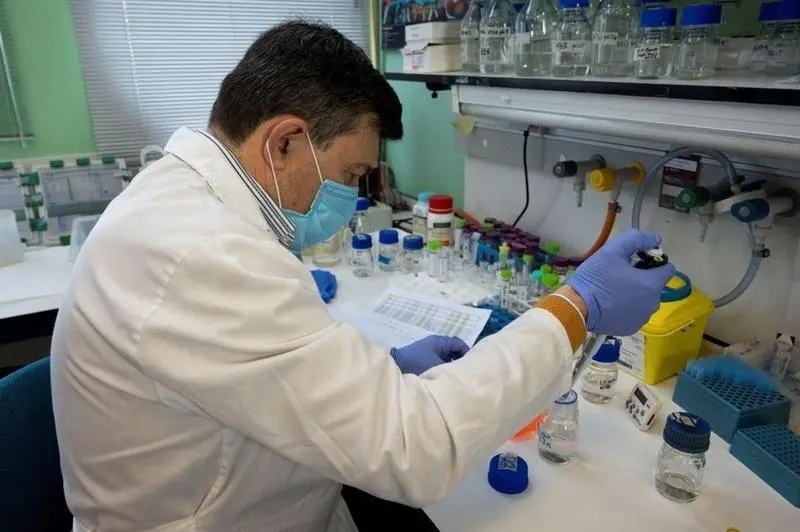 <p> Laboratorio del CNB-CSIC / C&eacute;sar Hern&aacute;ndez (CSIC Comunicaci&oacute;n) </p>