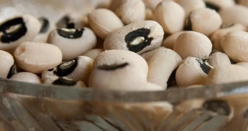 <p> Guisantes de ojos negros - UCR </p>