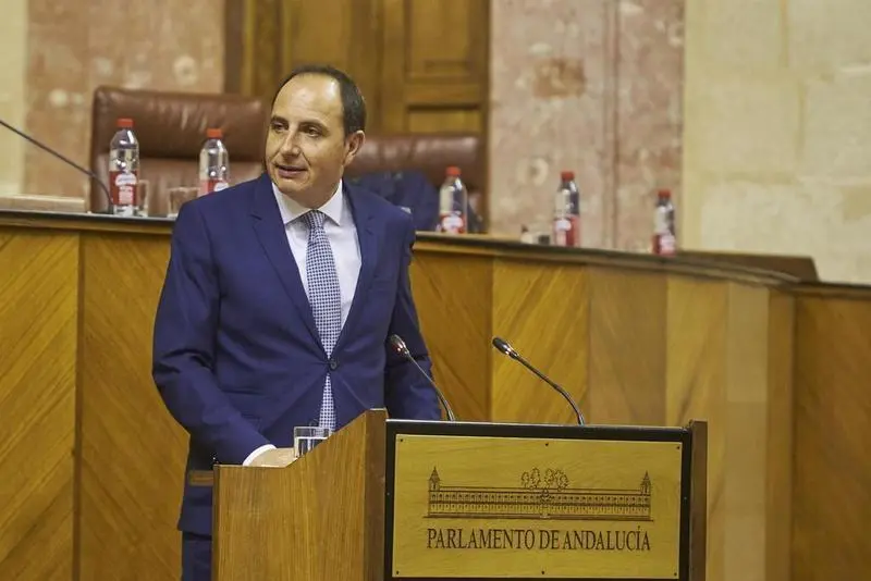 <p> El diputado del grupo parlamentario Vox, Francisco Jos&eacute; Oca&ntilde;a </p>