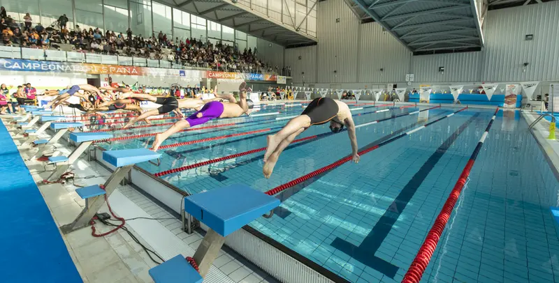 <p> Piscina ol&iacute;mpica </p>