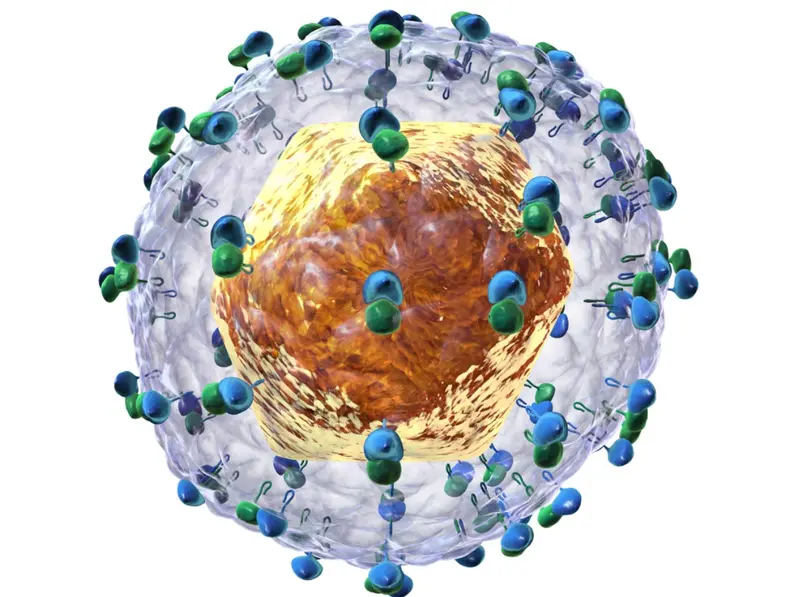 <p> Recreaci&oacute;n del virus de la Hepatitis C. Fuente: Twitter @CSIC </p>