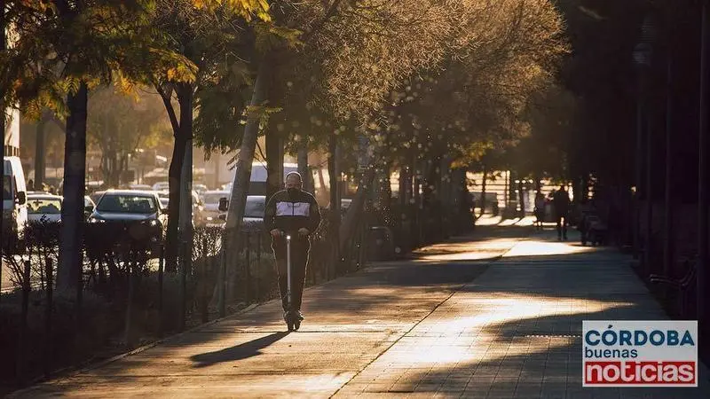 <p> Un hombre en patinete el&eacute;ctrico circula por el carril bici | Jos&eacute; Le&oacute;n. </p>