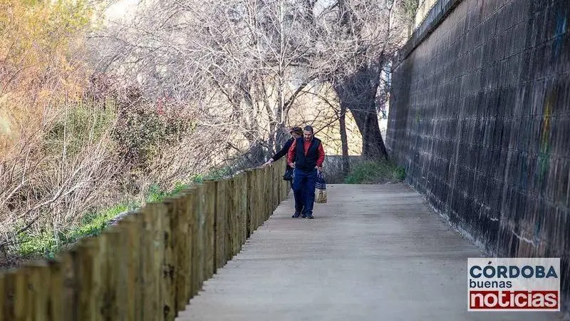 <p> Rehabilitaci&oacute;n del camino en Sotos de la Albolafia | Jos&eacute; Le&oacute;n. </p>