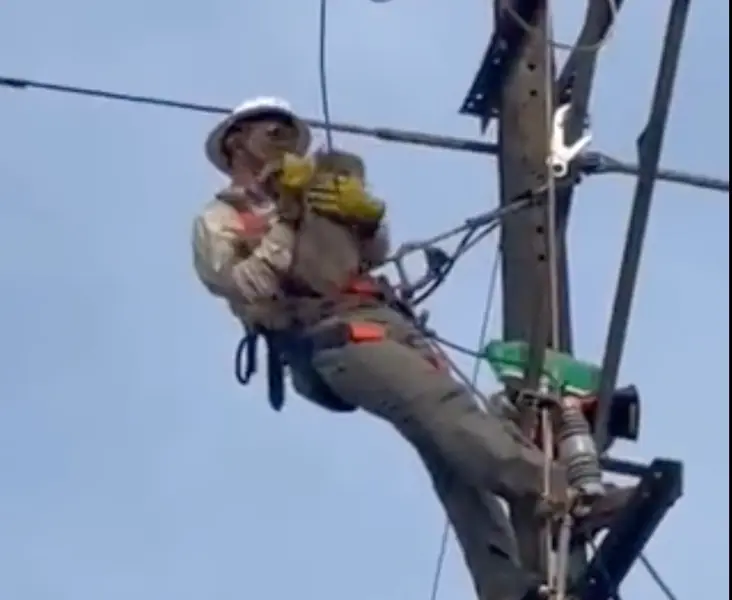 <p> Momento del rescate del perezoso. TWITTER </p>