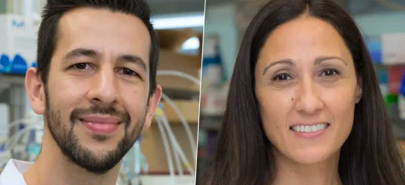 <p> Omomyc demuestra por primera vez su capacidad antimetast&aacute;sica en el c&aacute;ncer de mama </p>