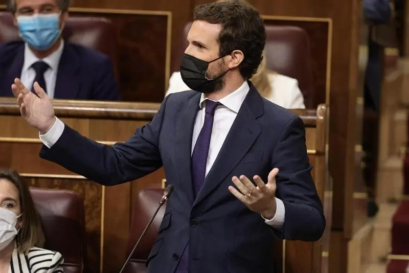 <p> El l&iacute;der del PP, Pablo Casado, </p>