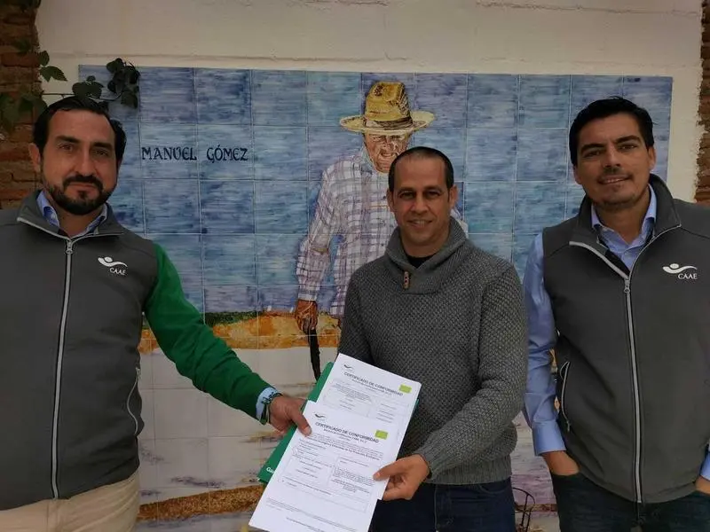 <p> Salinas del alem&aacute;n. </p>