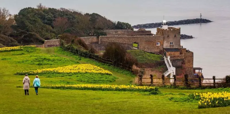 <p> 153.000 narcisos en flor, en SWNS. </p>