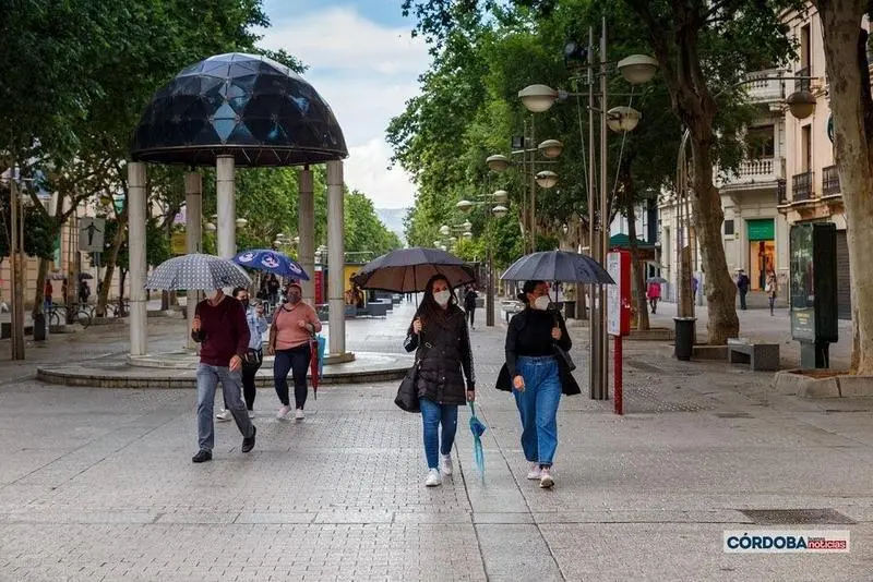 <p> Lluvia en C&oacute;rdoba. | Jos&eacute; Le&oacute;n. </p>