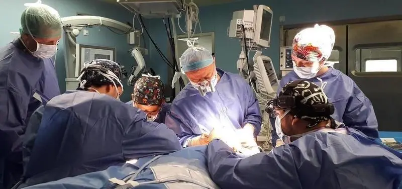 <p> Trasplante - CBN. </p>