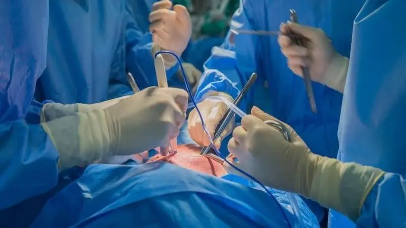 <p> Transplantes </p>