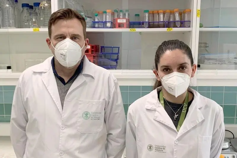 <p> INVESTIGADORES DE LA UCV DESCUBREN UN NUEVO BIOMATERIAL DE ORIGEN MARINO QUE DESTRUYE EL SARS-COV-2 - UCV </p>