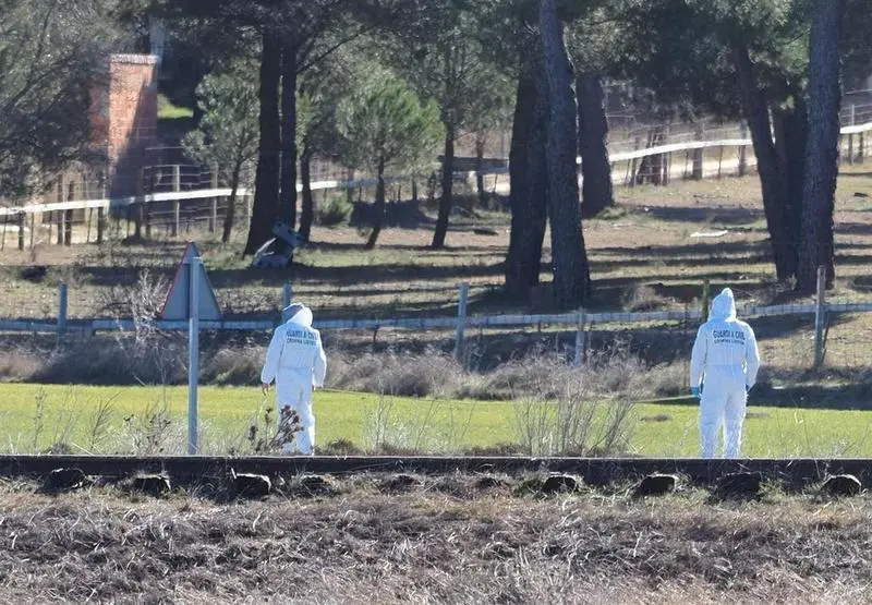 <p> Agentes de la Guardia Civil en el lugar donde se encontr&oacute; el cad&aacute;ver de Esther L&oacute;pez de la Rosa </p>
