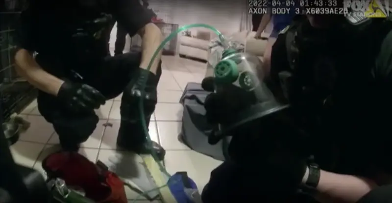 <p> Reanimaci&oacute;n de los cachorros salvados en Arizona </p>