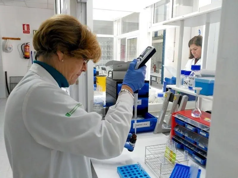 <p> Laboratorio </p>