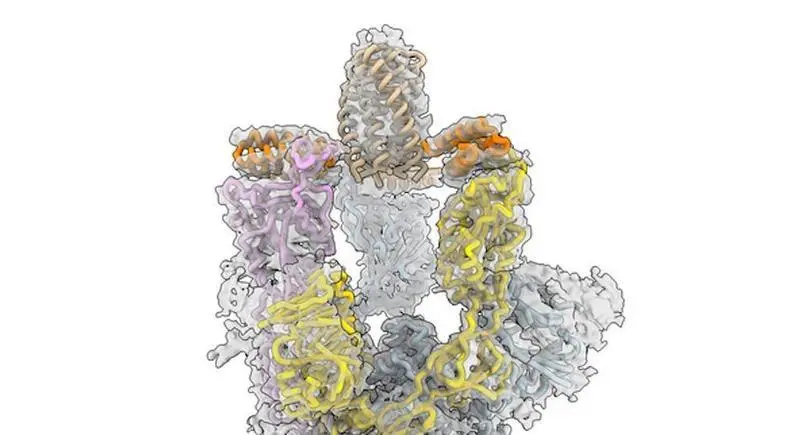 <p> Covid. Fuente: Good News Network </p>