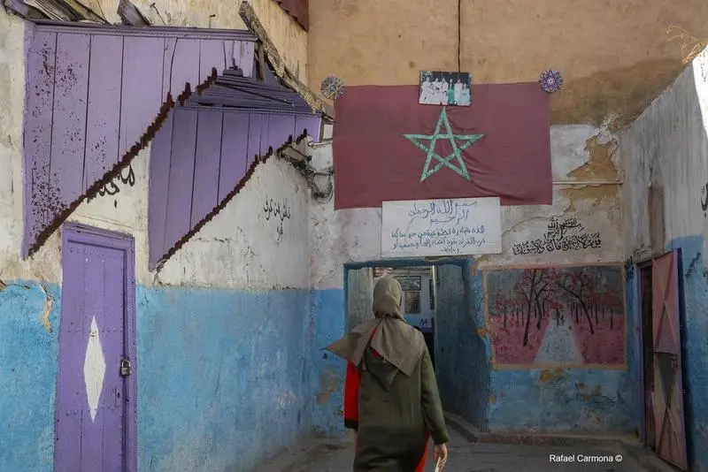 <p> 1peqtex (1) </p>