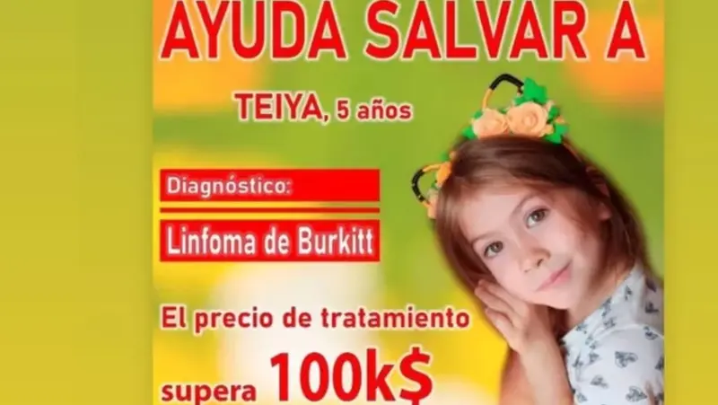 <p> Cartel de la campa&ntilde;a para ayudar a Teiya, ni&ntilde;a con c&aacute;ncer de m&eacute;dula &oacute;sea, en un crowdfunding. Fuente: Go Fund Me </p>
