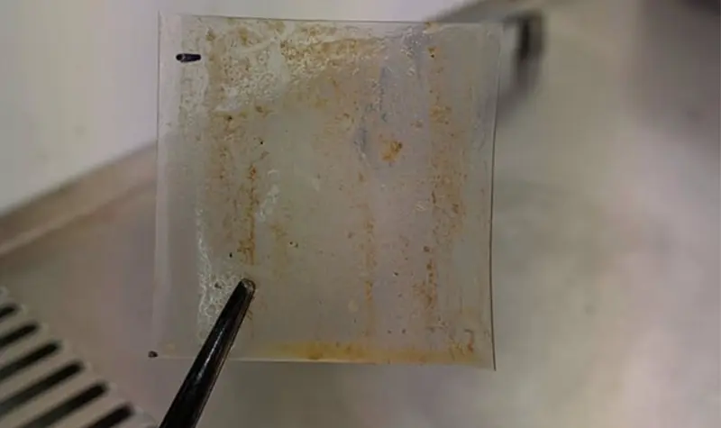 <p> Bacterias creciendo en el pl&aacute;stico - UNIVERSIDAD DE NEWCASTLE </p>