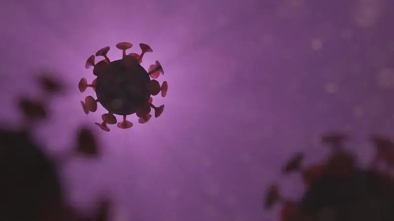<p> Virus. </p>