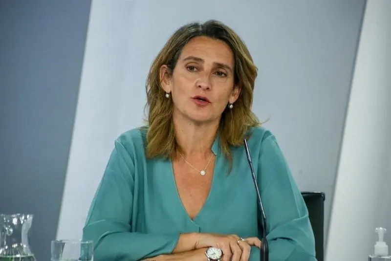 <p> La vicepresidenta tercera y ministra para la Transici&oacute;n Ecol&oacute;gica y el Reto Demogr&aacute;fico, Teresa Ribera - EUROPA PRESS/R.Rubio.POOL - Europa Press </p>