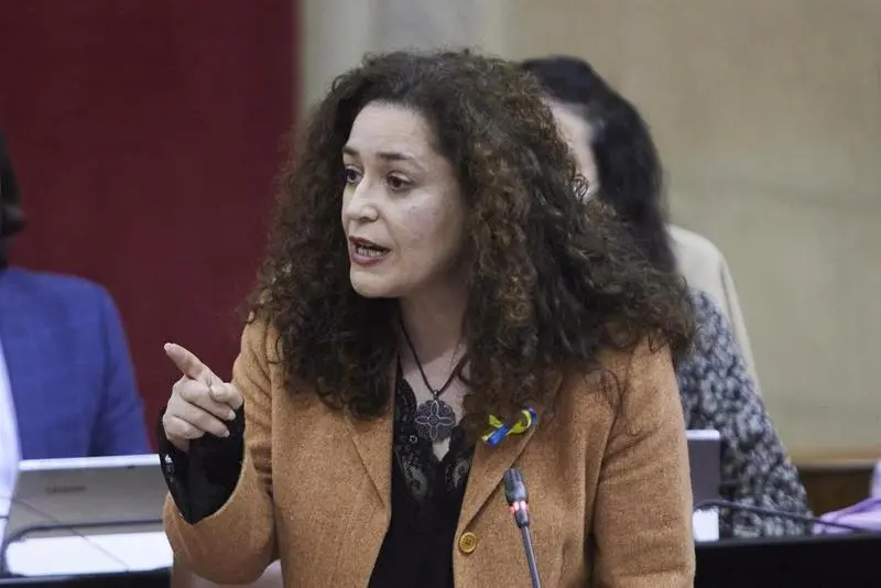 <p> Archivo - La portavoz del Grupo Parlamentario Unidas Podemos, Inmaculada Nieto, durante la sesi&oacute;n parlamentaria de control al Gobierno Andaluz en el Parlamento de Andaluc&iacute;a, a 10 de marzo de 2022 en Sevilla (Andaluc&iacute;a, Espa&ntilde;a) - Joaquin Corchero - Europa Press - Archivo </p>