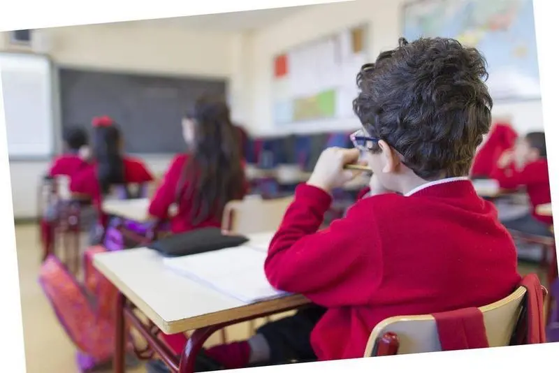 <p> Colegio, escuela, aula, primaria, clase, ni&ntilde;o, ni&ntilde;a, ni&ntilde;os, estudiando, estudiar, escribir, escribiendo, deberes, profesor, profesora, profesores </p>