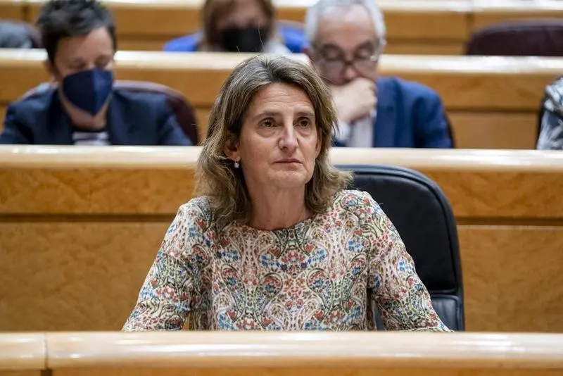 <p> La vicepresidenta del Gobierno responsable de Transici&oacute;n Ecol&oacute;gica, Teresa Ribera </p>