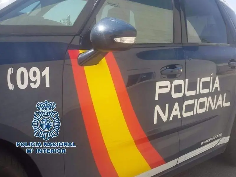 <p> Coche de la Polic&iacute;a Nacional </p>