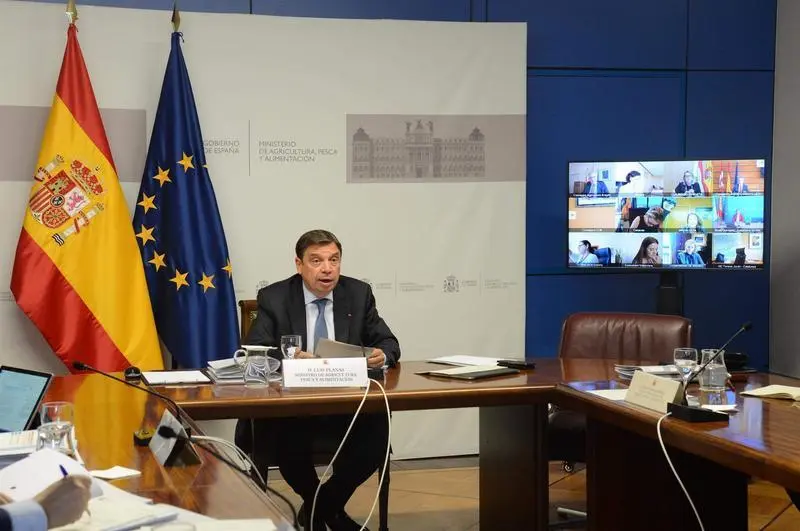 <p> El ministro de Agricultura, Pesca y Alimentaci&oacute;n, Luis Planas, preside la Sectorial de Agricultura y Pesca por videoconferencia </p>
